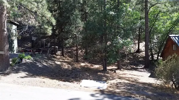 a view of a forest with trees