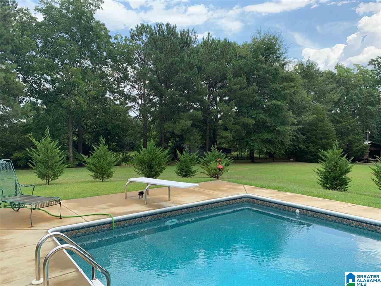 903 Poplar Springs Road Clanton, AL 35045 - Photo 4 of 28