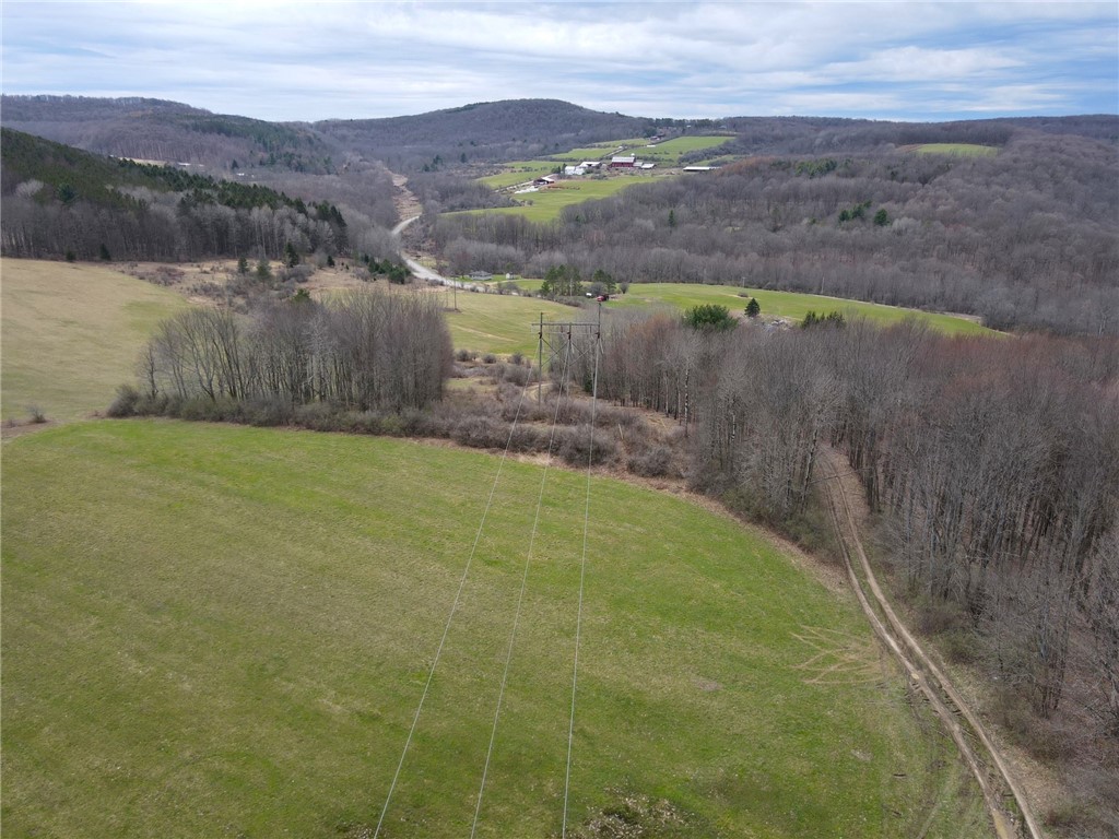 Lot 7 Summit Road Cuba, NY 14727 - Photo 4 of 31