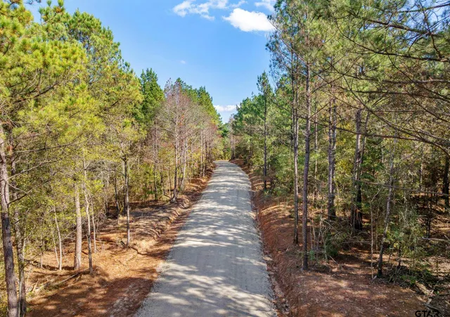 a view of a backyard with trees