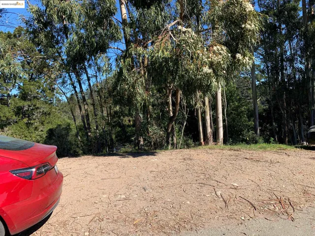a street view covered with snow