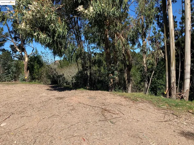 a view of outdoor space with trees