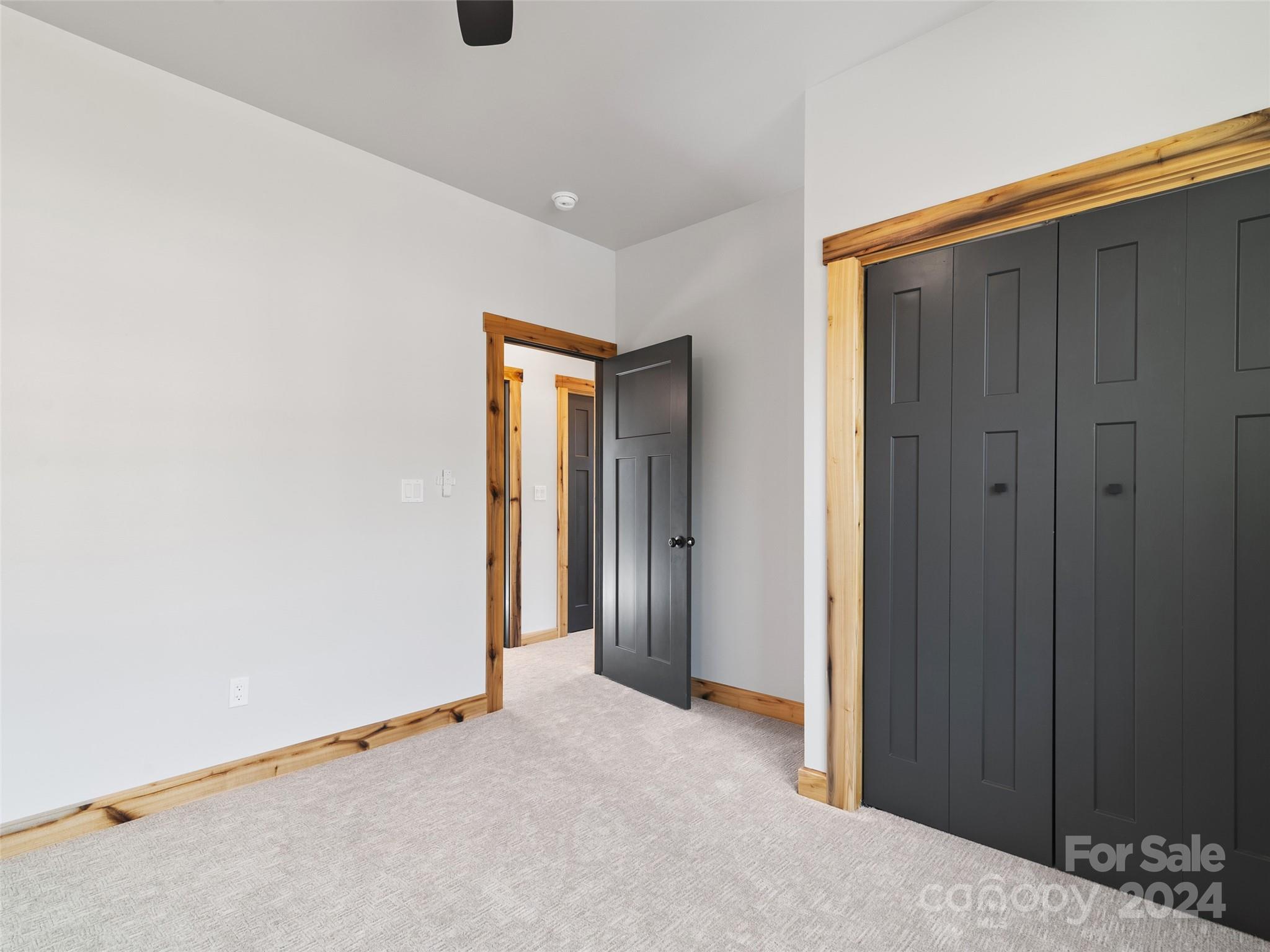 282 County Road Waynesville, NC 28785 - Photo 28 of 41 Gallery Image 28