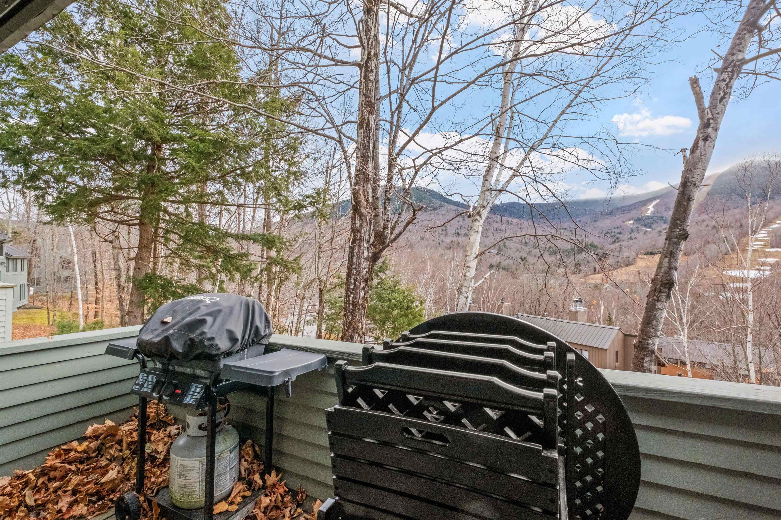 51 Whaleback Road, Unit 2 Lincoln, NH 03251 - Photo 27 of 36 Gallery Image 27