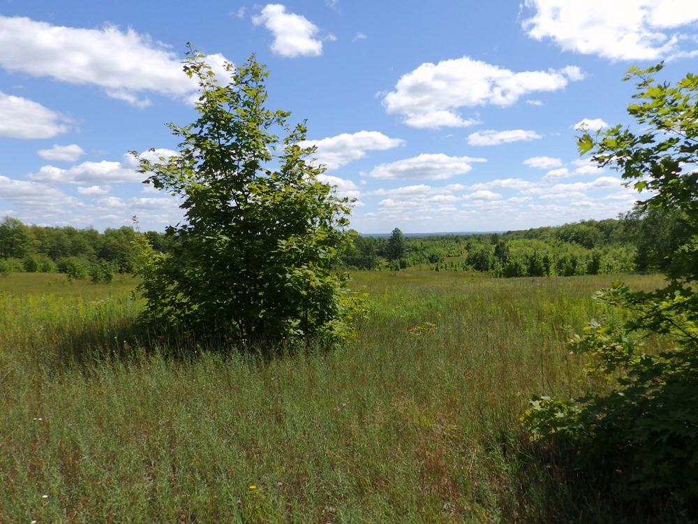 Sturgeon Valley Road Vanderbilt, MI 49795 - Photo 10 of 13 Gallery Image 10