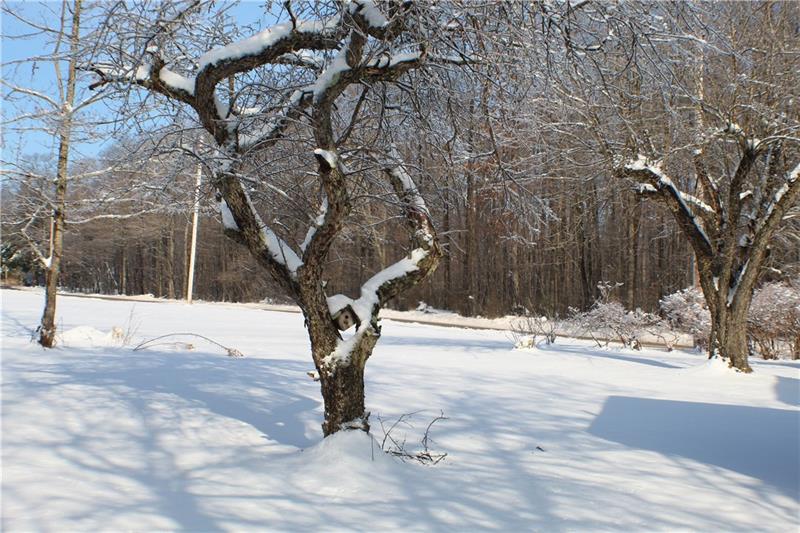 4443 Ridge Road Stoystown, PA 15563 - Photo 18 of 18 Gallery Image 18