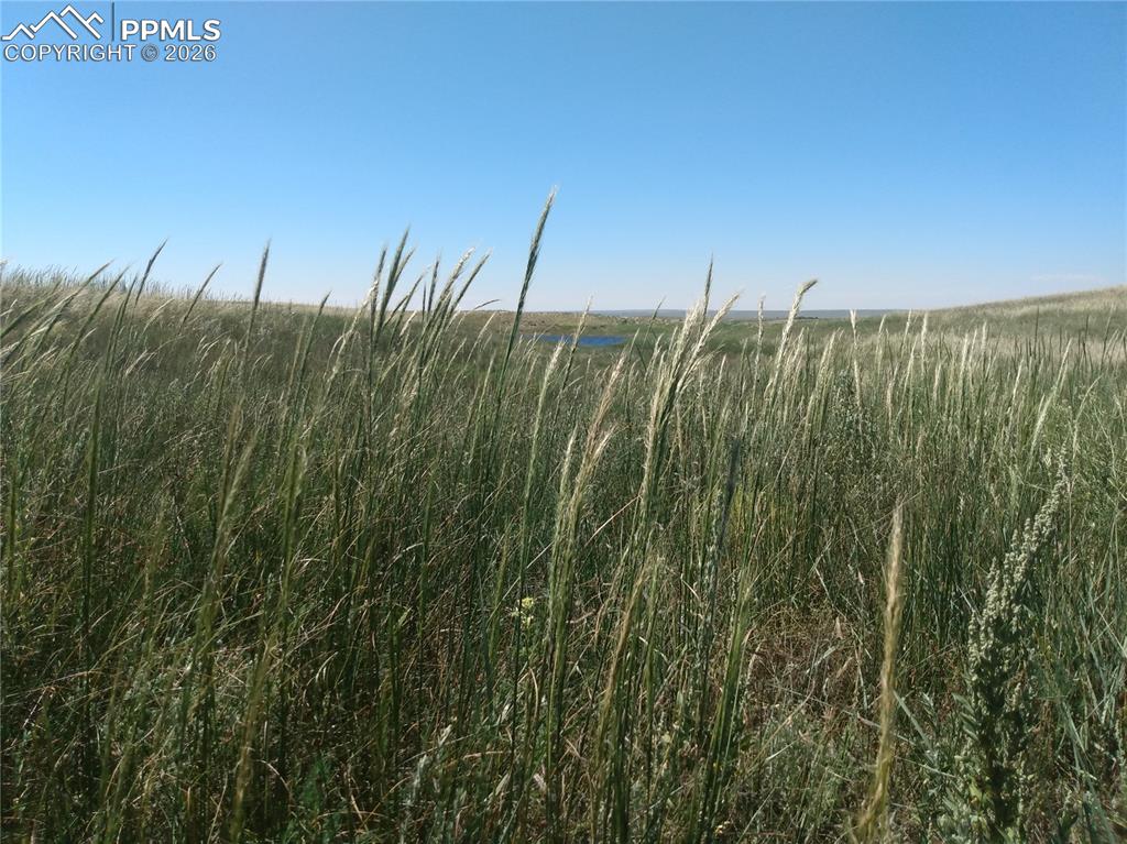 Nka South Calhan Road Calhan, CO 80808 - Photo 6 of 22