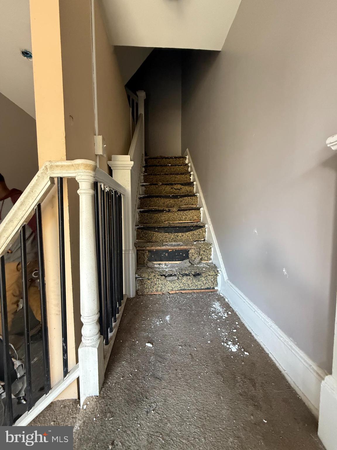 3512 Reisterstown Road Baltimore, MD 21215 - Photo 4 of 9 Gallery Image 4