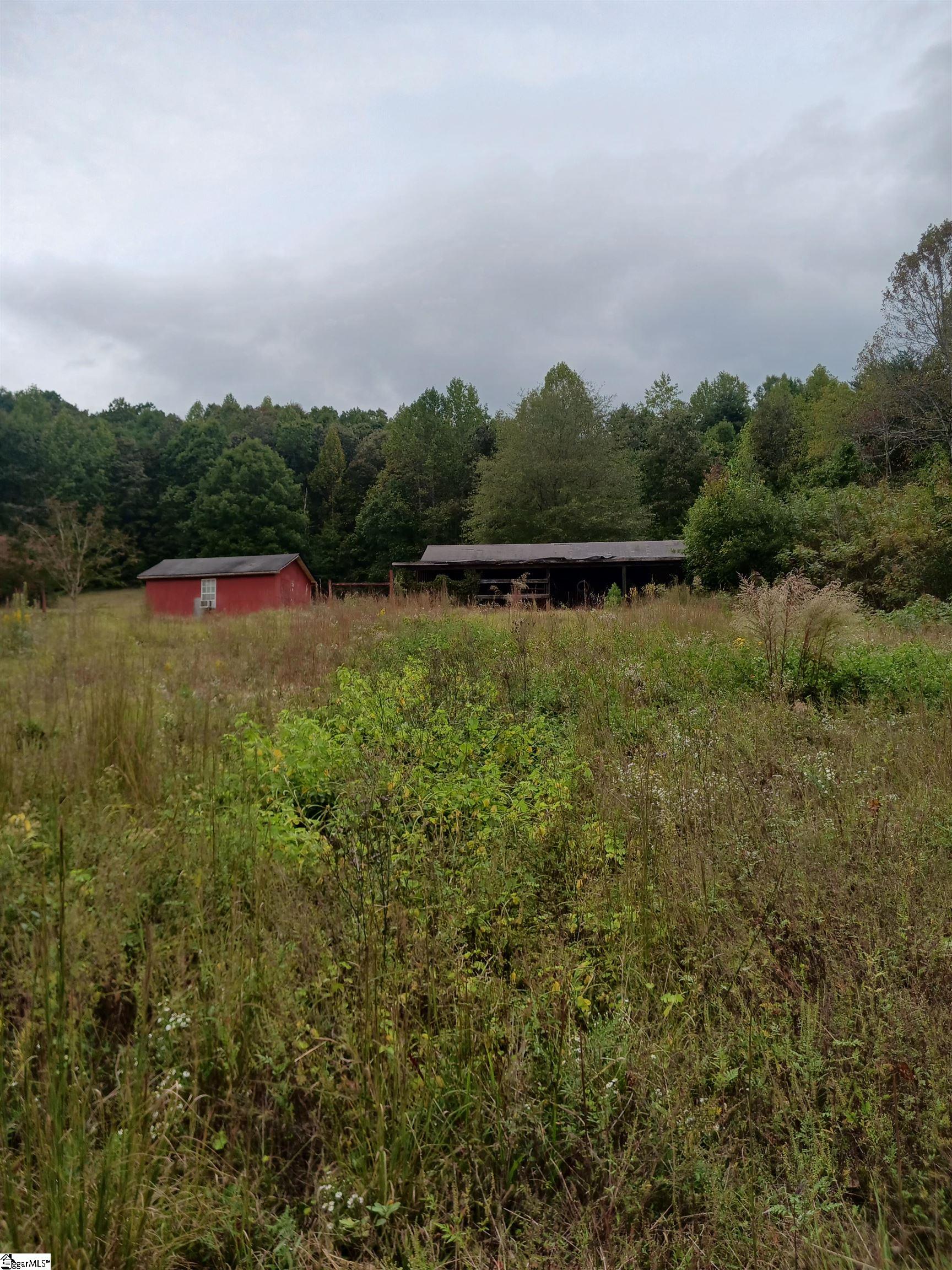 1549 Midway Road Pickens, SC 29671 - Photo 4 of 6