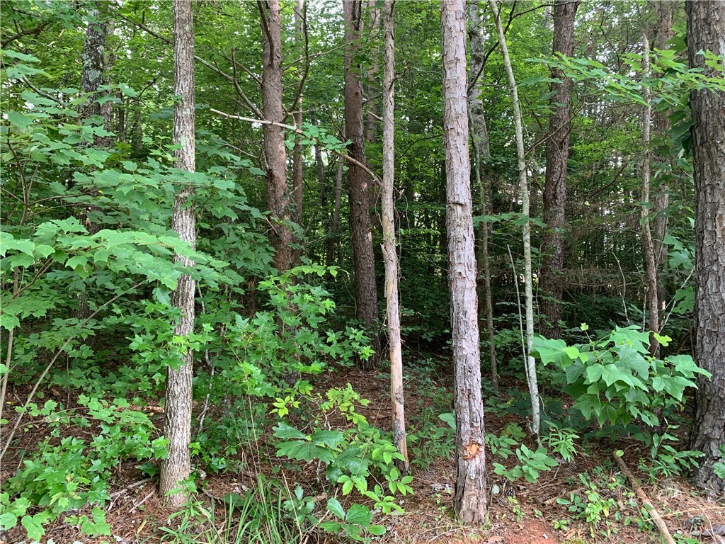 0 Austin Edwards/springbrook Road Walhalla, SC 29691 - Photo 2 of 8 Gallery Image 2