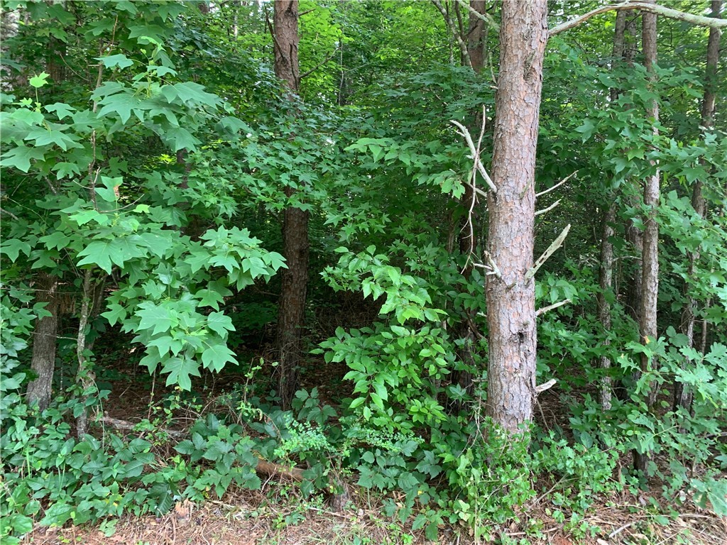 0 Austin Edwards/springbrook Road Walhalla, SC 29691 - Photo 4 of 8 Gallery Image 4