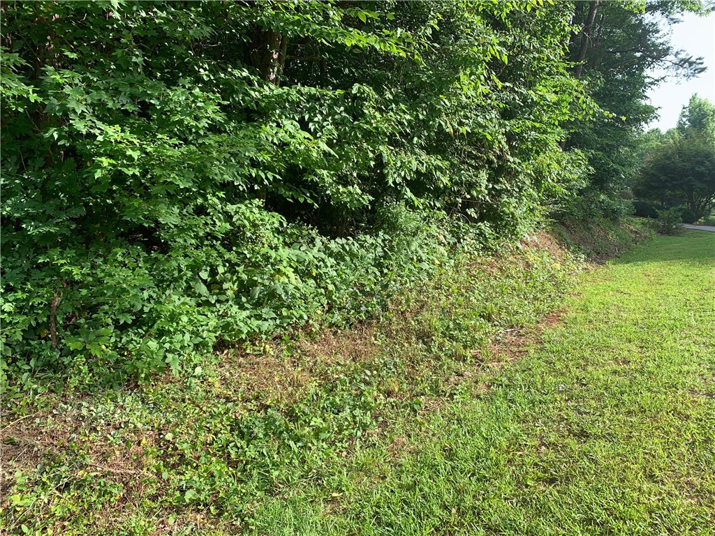 0 Austin Edwards/springbrook Road Walhalla, SC 29691 - Photo 7 of 8 Gallery Image 7