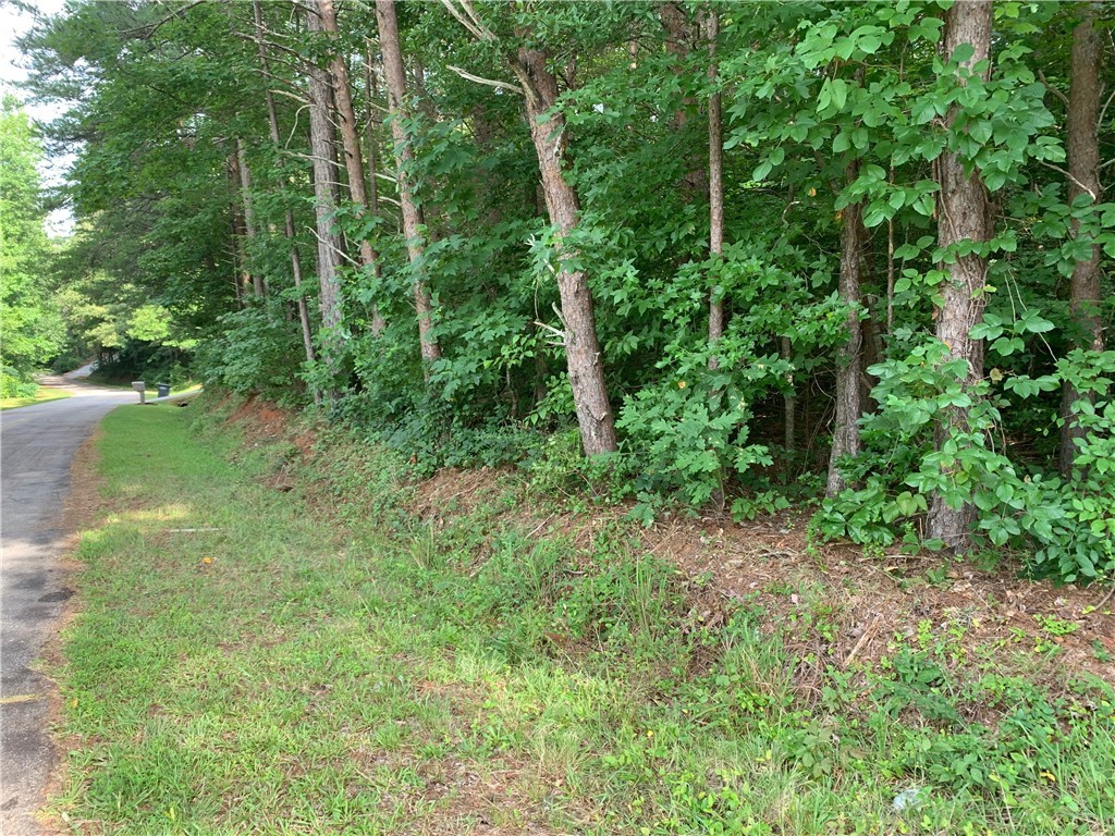 0 Austin Edwards/springbrook Road Walhalla, SC 29691 - Photo 8 of 8 Gallery Image 8
