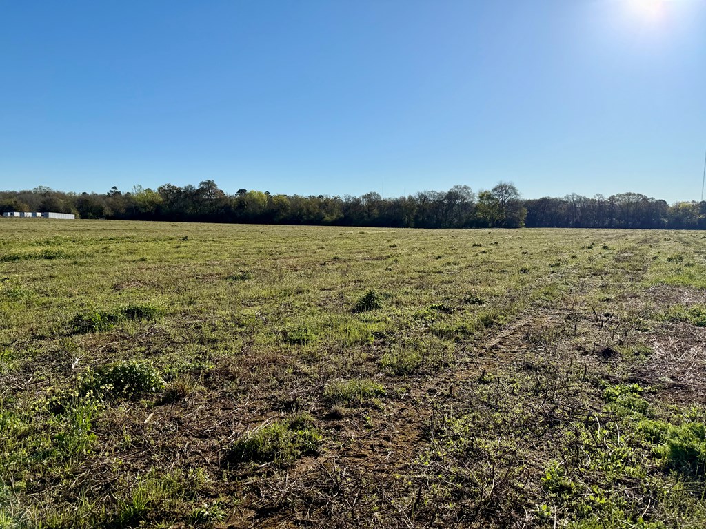 3.42-acres Omussee Road Cowarts, AL 36321 - Photo 6 of 13