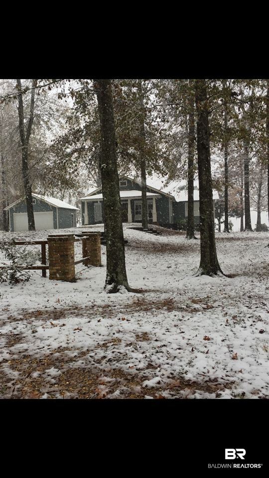 393 Dana Drive Catherine, AL 36728 - Photo 39 of 44