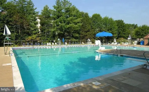 a view of a swimming pool with a yard and trees