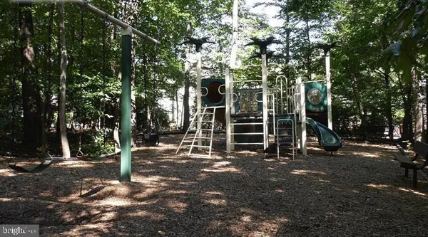 a view of outdoor space with deck and tree