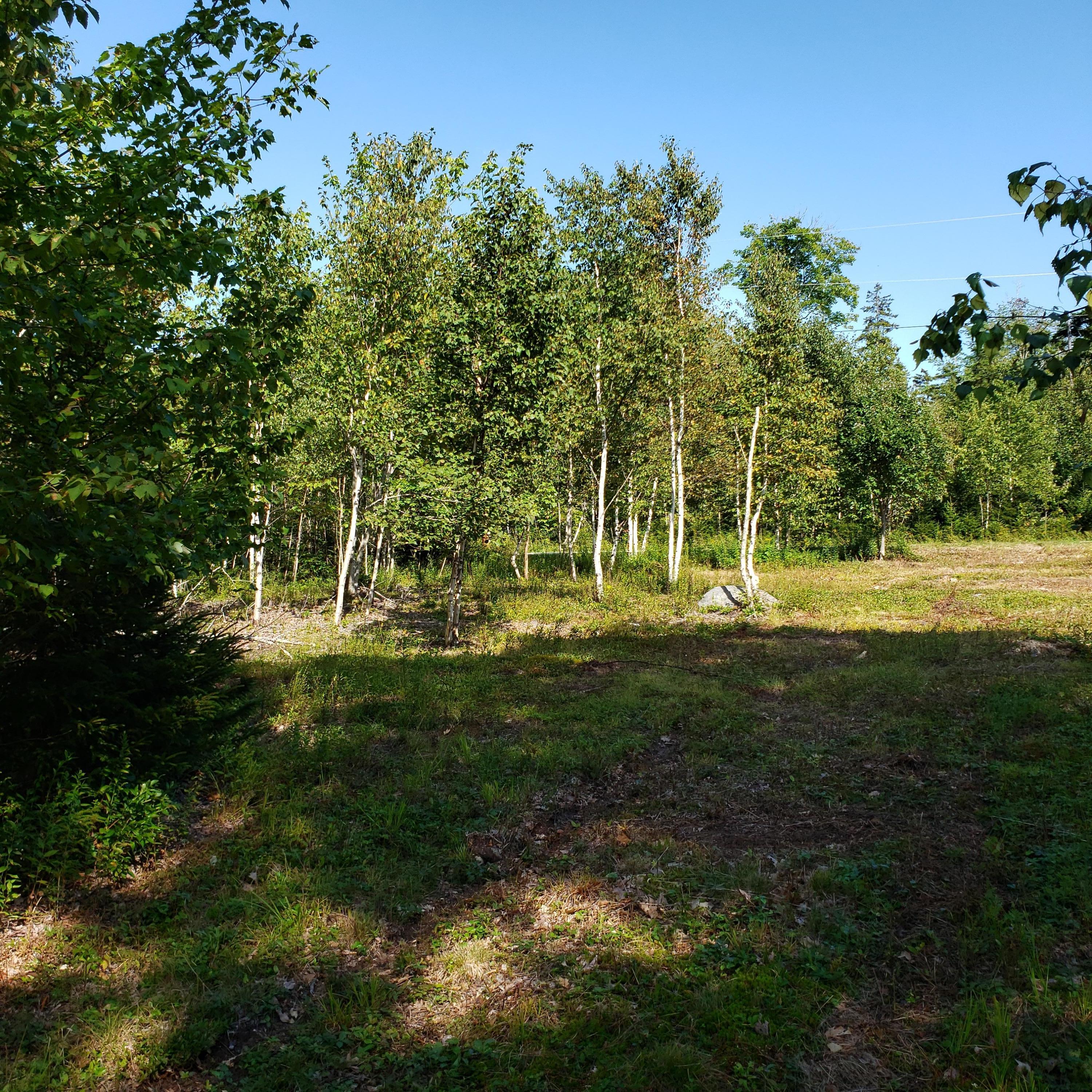 53 Cushing Farm Road New Harbor, ME 04554 - Photo 3 of 17 20190826_152804