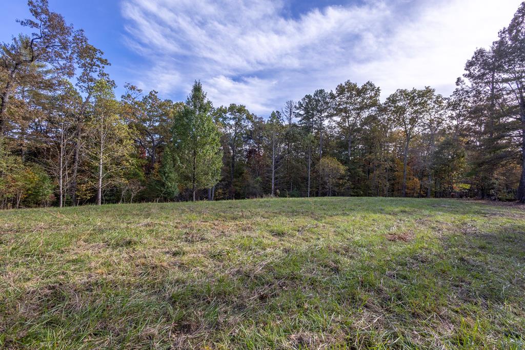 300 Springbrook Lane Murphy, NC 28906 - Photo 1 of 39 Main View