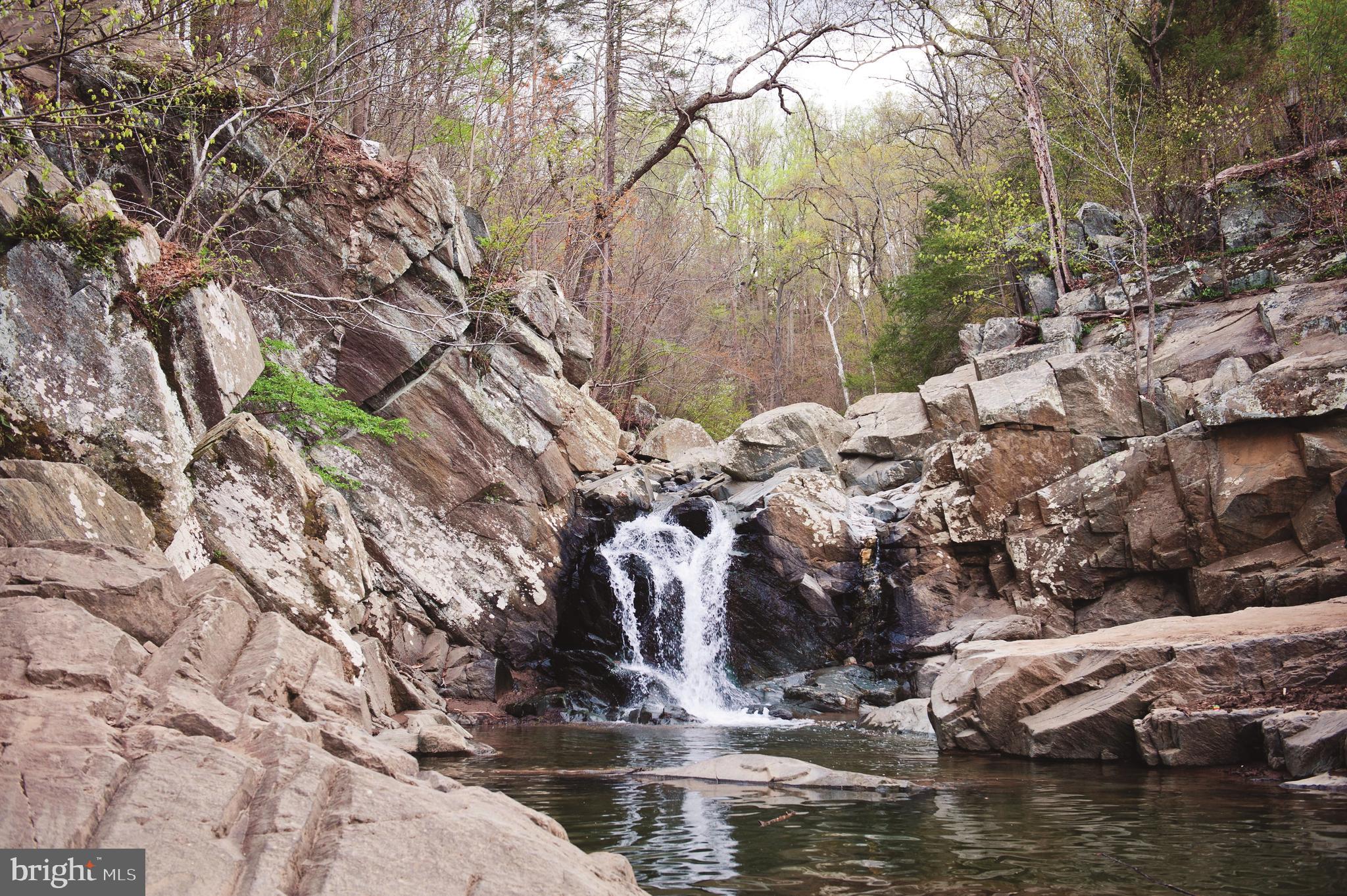 1720 Anderson Road McLean, VA 22102 - Photo 16 of 18