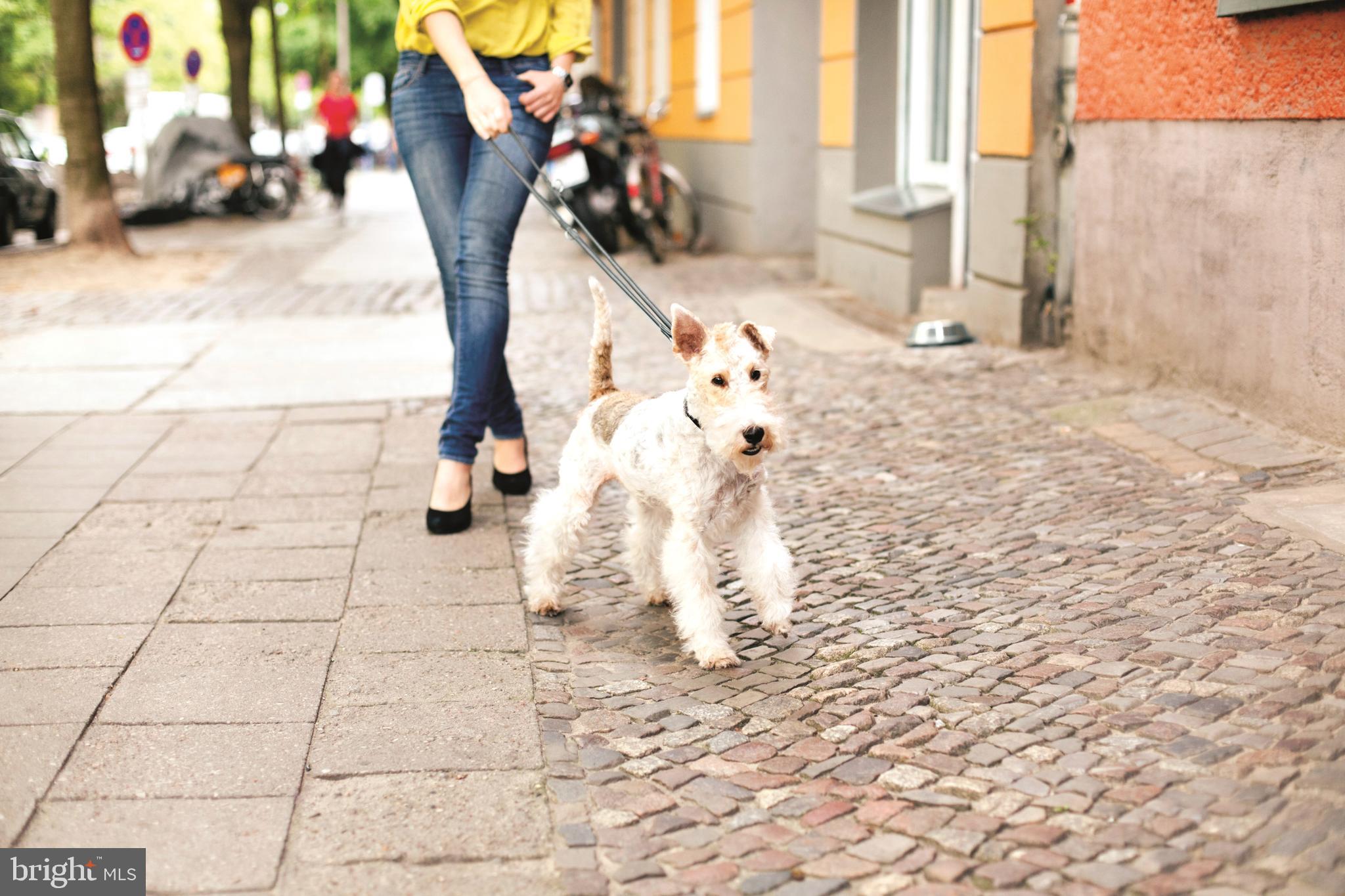 1720 Anderson Road McLean, VA 22102 - Photo 17 of 18