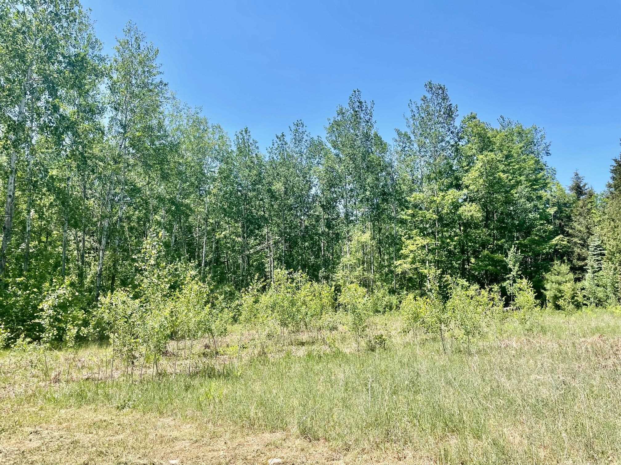 6797 North Us 131 Road Manton, MI 49663 - Photo 6 of 16