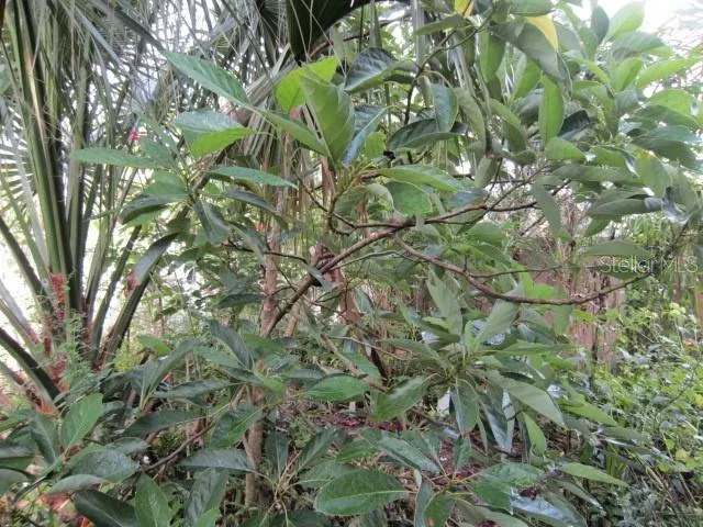 $479,000 | 1329 Herndon Avenue, Deltona, FL 32725