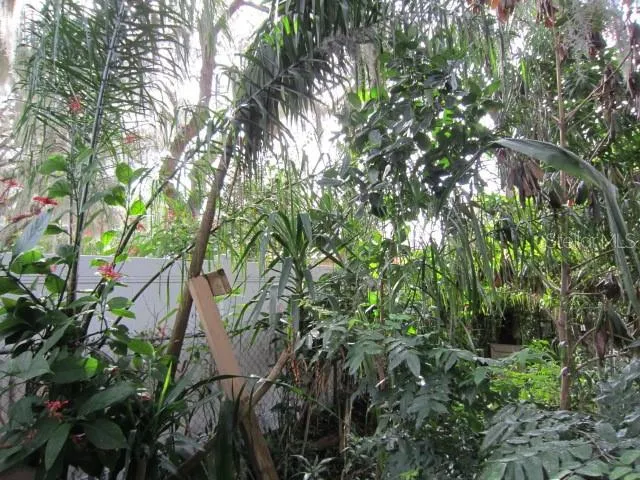 $479,000 | 1329 Herndon Avenue, Deltona, FL 32725