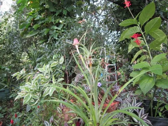 $479,000 | 1329 Herndon Avenue, Deltona, FL 32725