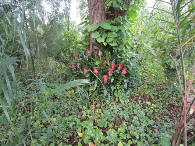 $479,000 | 1329 Herndon Avenue, Deltona, FL 32725