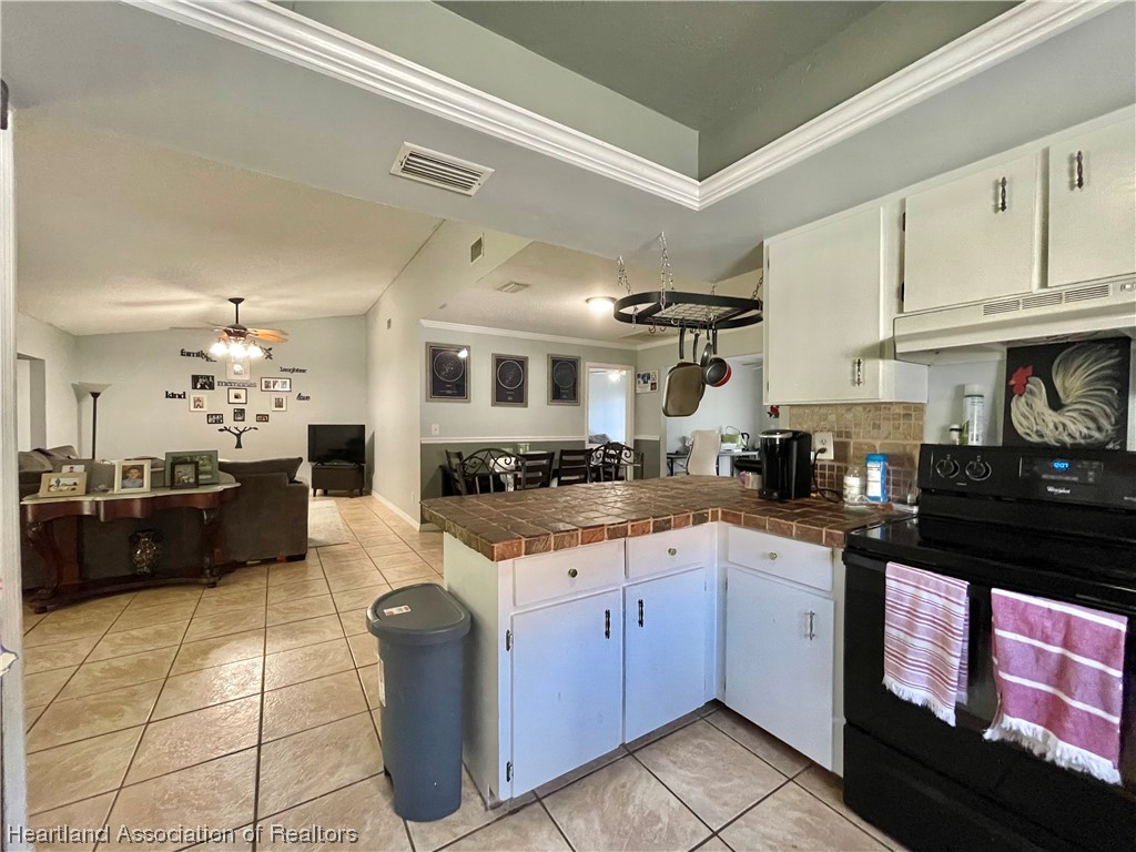4701 Golfview Road Sebring, FL 33875 - Photo 21 of 23 Gallery Image 21