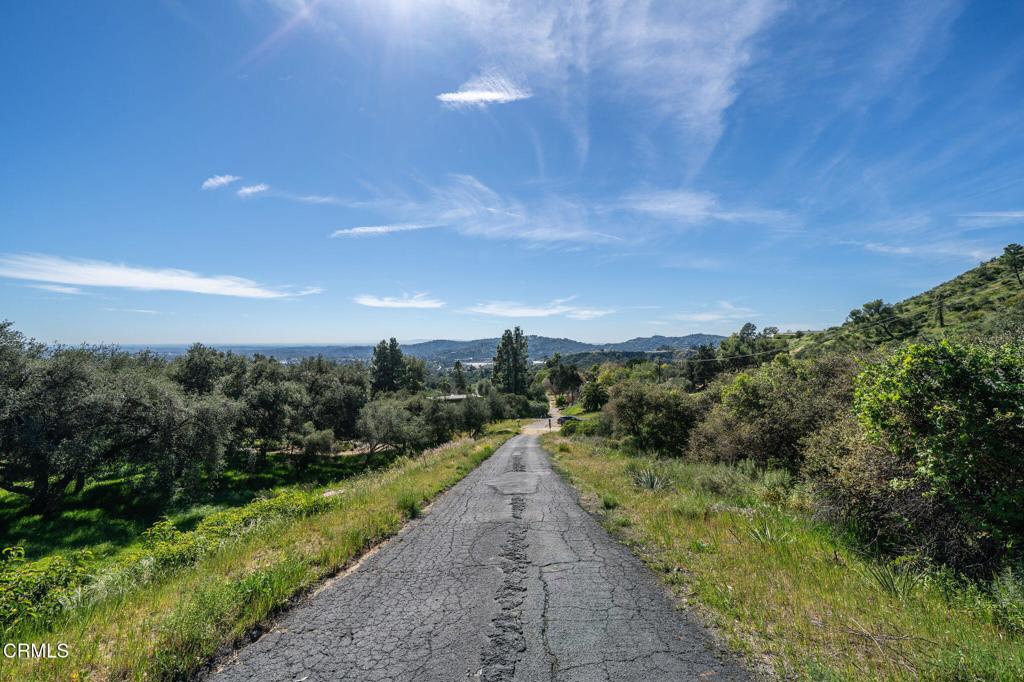 4700 Rising Hill Road Altadena, CA 91001 - Photo 2 of 35 a view of a pathway both side of grassy field with trees