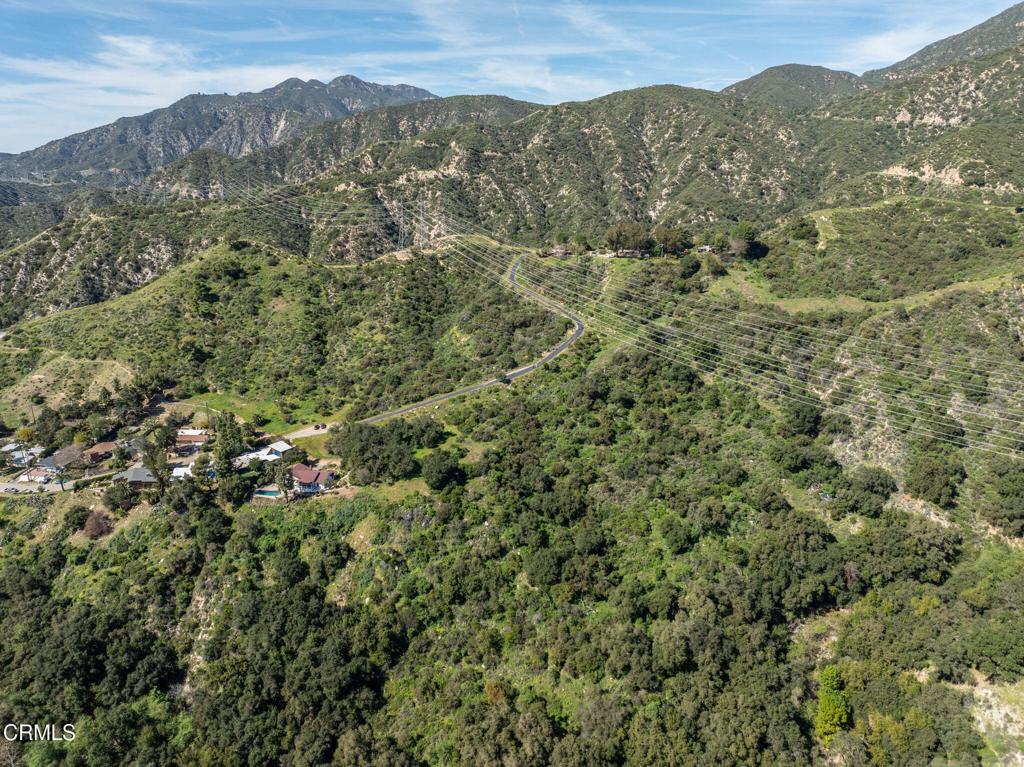 4700 Rising Hill Road Altadena, CA 91001 - Photo 21 of 35 a view of a mountain with a lush green forest