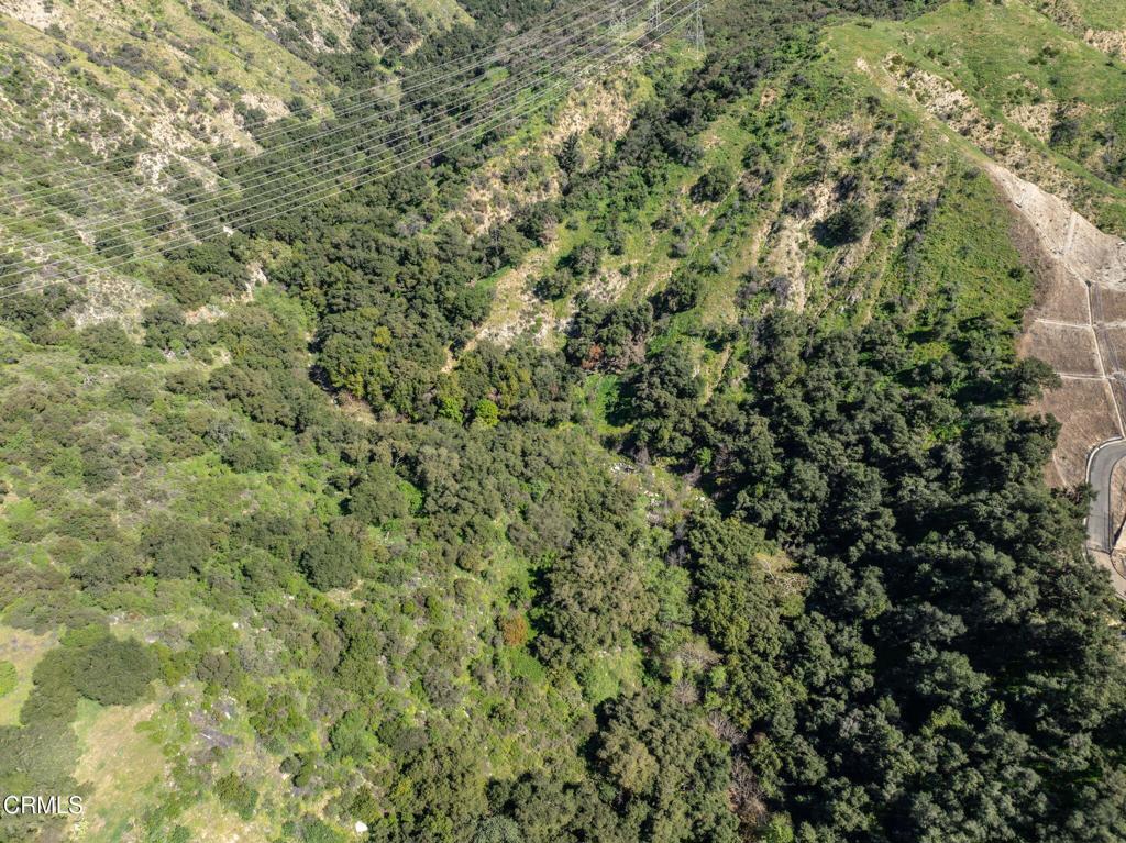 4700 Rising Hill Road Altadena, CA 91001 - Photo 25 of 35 a view of a lush green forest