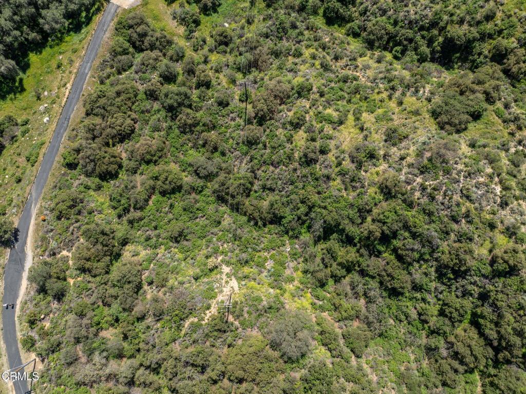 4700 Rising Hill Road Altadena, CA 91001 - Photo 30 of 35 a view of a big yard with lots of bushes