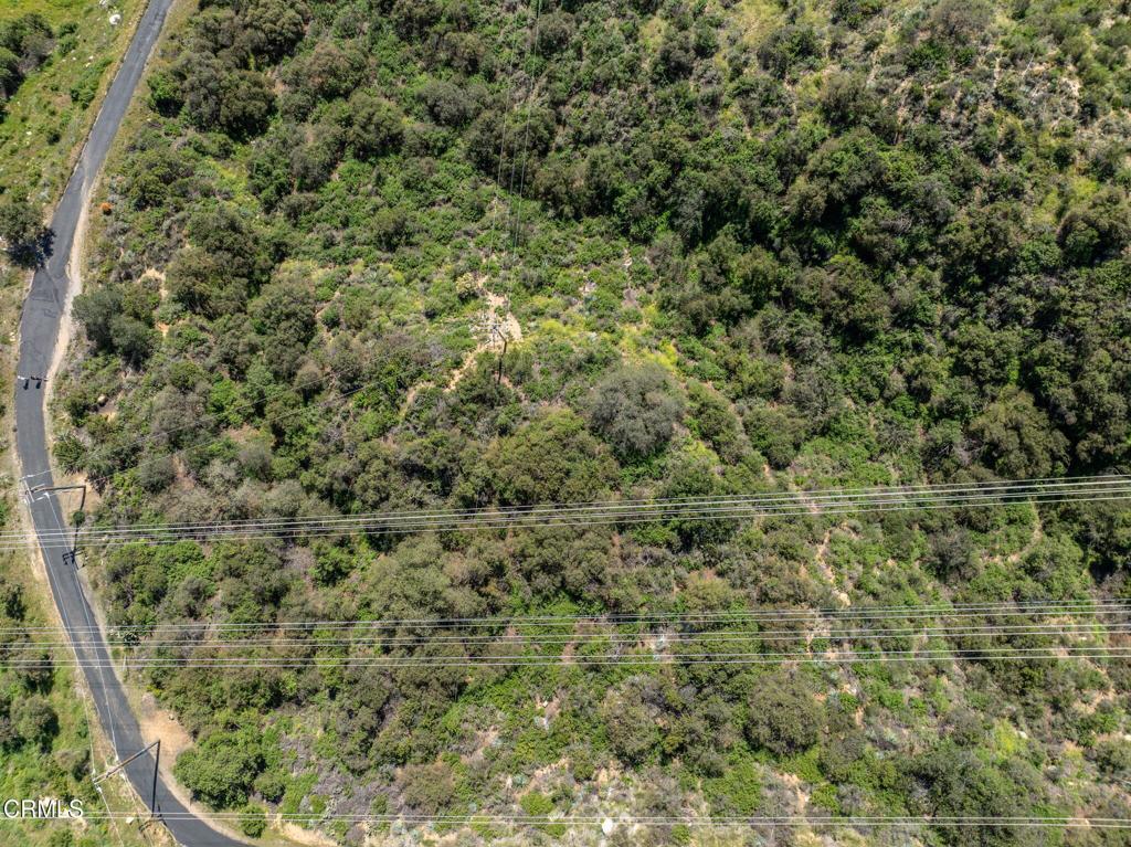 4700 Rising Hill Road Altadena, CA 91001 - Photo 31 of 35 a view of a forest with a toilet