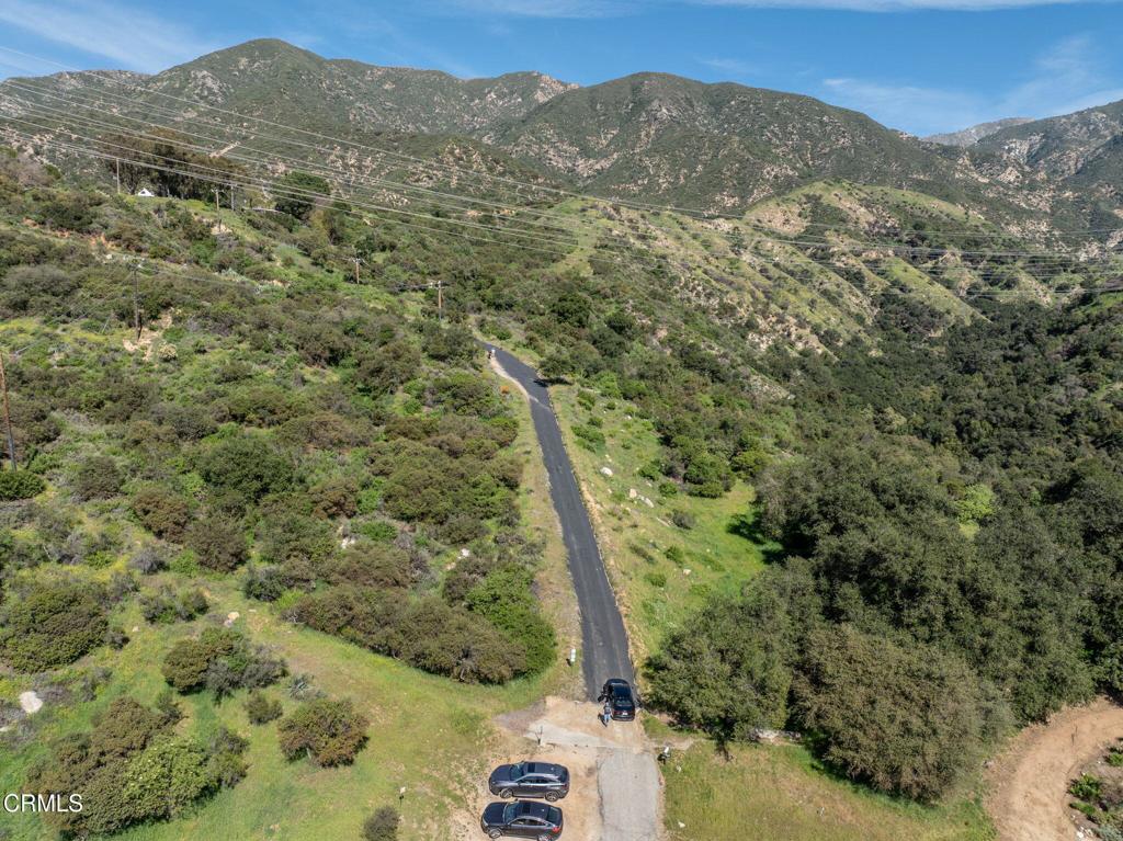 4700 Rising Hill Road Altadena, CA 91001 - Photo 33 of 35 a view of a forest with a mountain