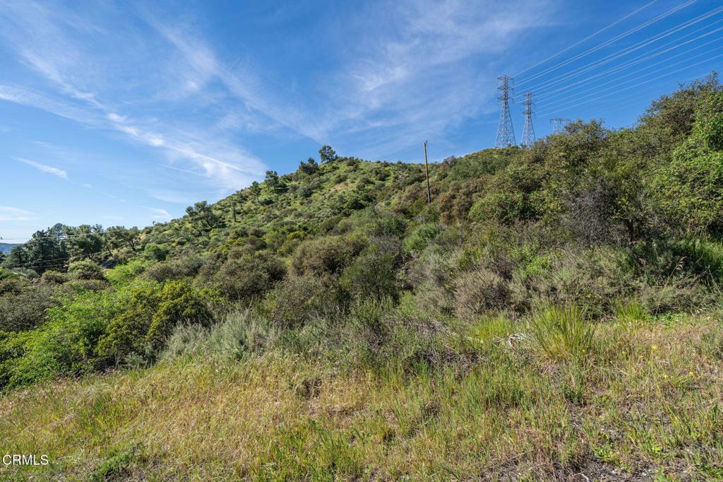 4700 Rising Hill Road Altadena, CA 91001 - Photo 6 of 35 a view of a field