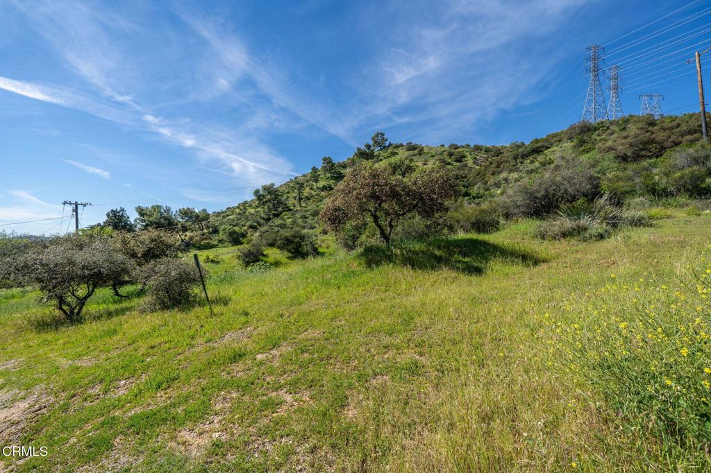 4700 Rising Hill Road Altadena, CA 91001 - Photo 7 of 35 a view of a field of grass and trees