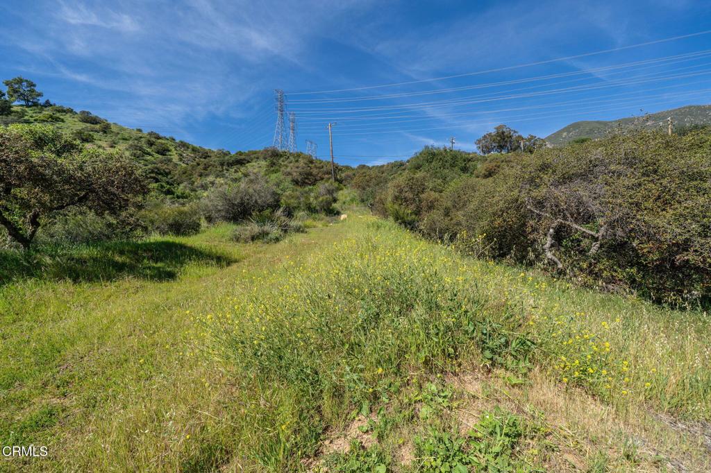 4700 Rising Hill Road Altadena, CA 91001 - Photo 8 of 35 a view of a field
