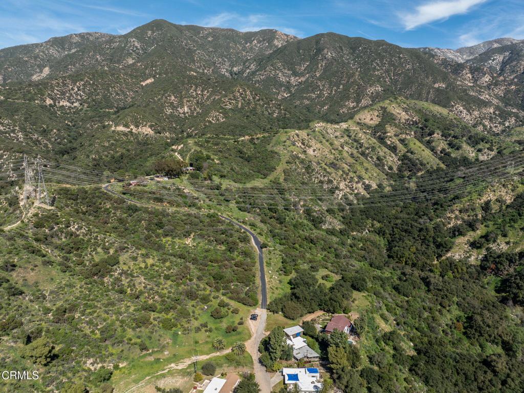 4700 Rising Hill Road Altadena, CA 91001 - Photo 10 of 35 a view of a forest with mountains in the background