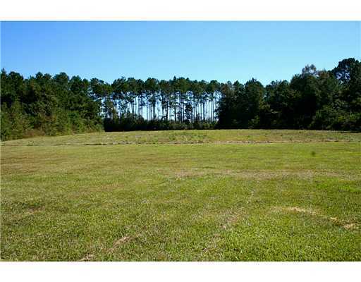 15618 Old River Rd Loop Vancleave, MS 39565 - Photo 5 of 25 Additional Photo