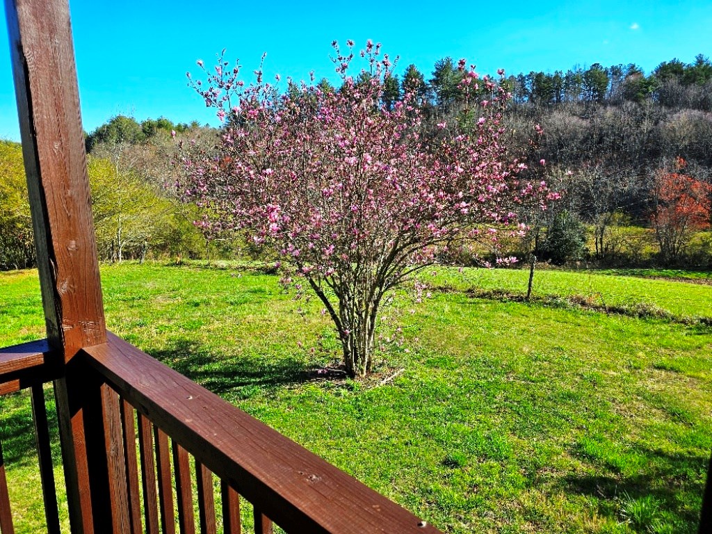 776 Shady Grove Road Murphy, NC 28906 - Photo 55 of 70 Gallery Image 55