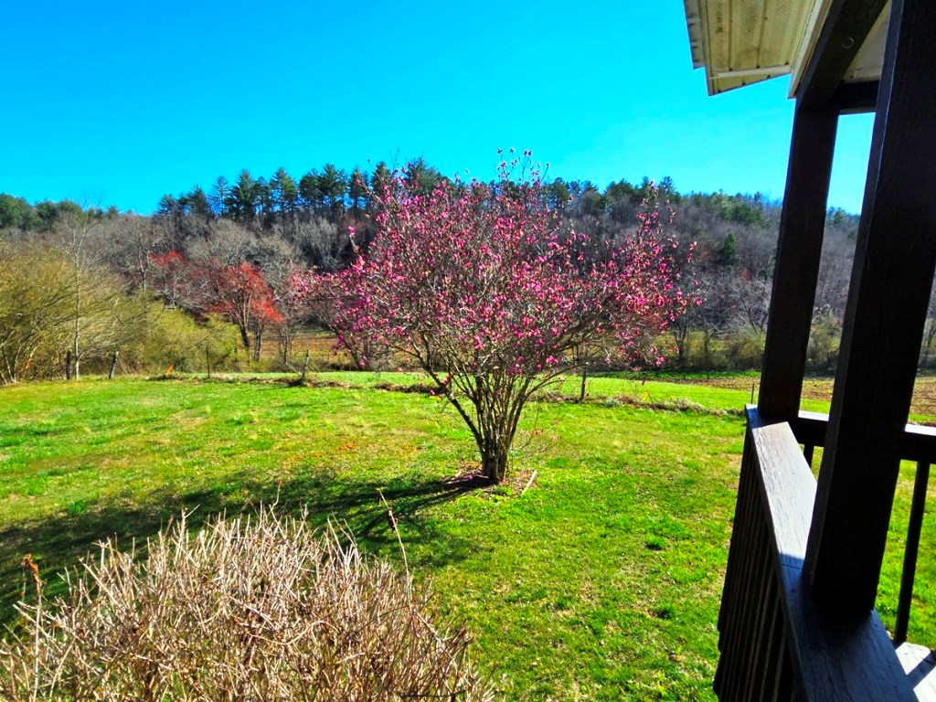 776 Shady Grove Road Murphy, NC 28906 - Photo 6 of 70 Gallery Image 6