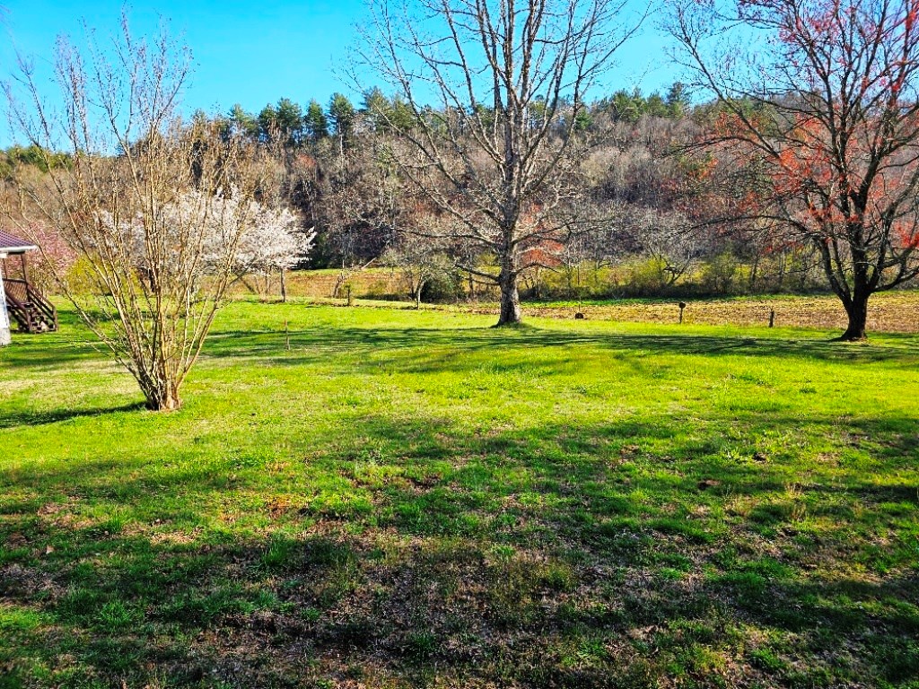 776 Shady Grove Road Murphy, NC 28906 - Photo 69 of 70 Gallery Image 69