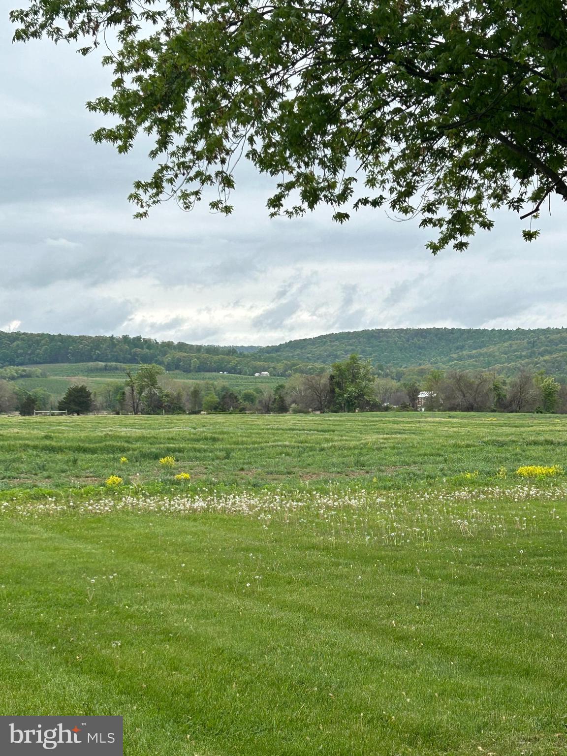 38 Carrolls Tract Road Fairfield, PA 17320 - Photo 5 of 35