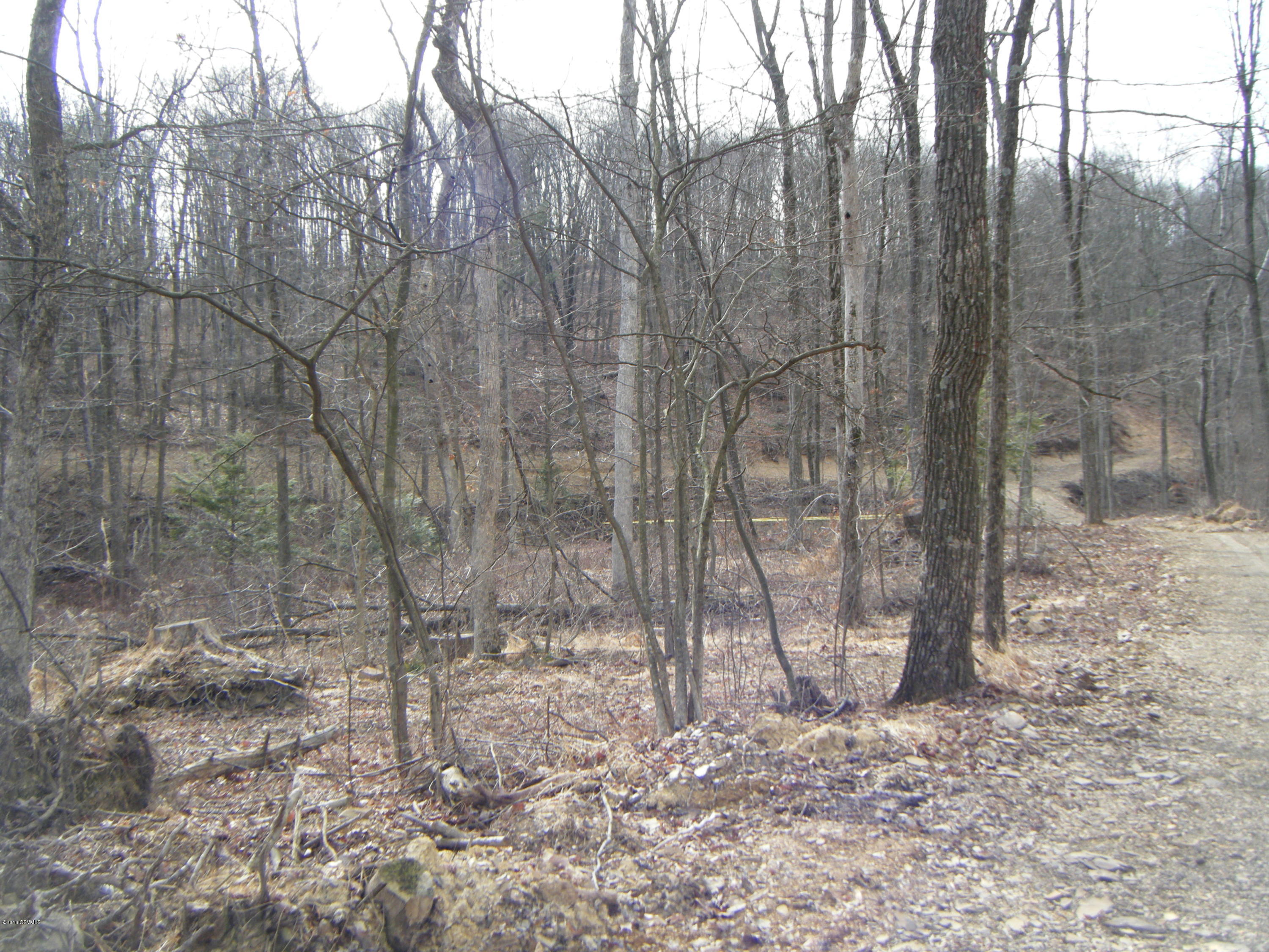 Horseshoe Bend Road Middleburg, PA 17842 - Photo 6 of 16 Gallery Image 6