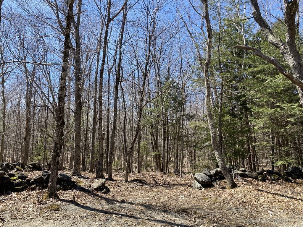 0 Bug Hill Road Ashfield, MA 01330 - Photo 1 of 16 Gallery Image 1