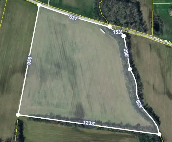 $299,000 | 0 Duncan Street, Manchester, TN 37355