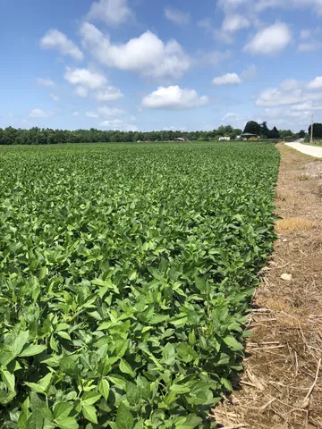 a view of lake with mountain